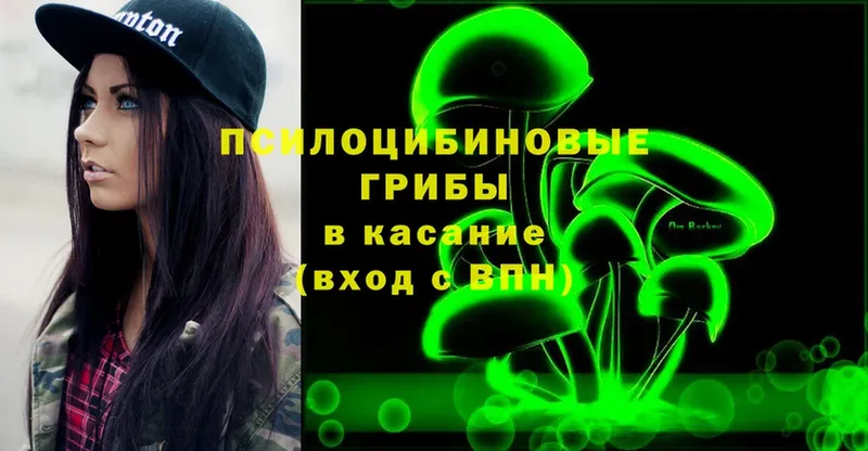 Псилоцибиновые грибы Magic Shrooms  гидра   Чёрмоз 